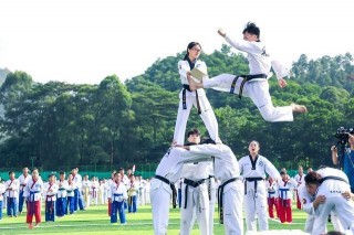 滑板、飛盤、冰球、橋牌……東莞市民運動會潮流與傳統項目輪番上演