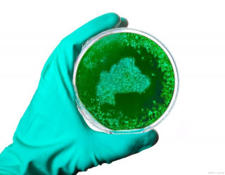 周群英環境工程微生物學第4版配套真題