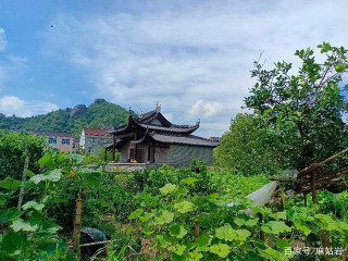 仙居縣西六村，曲徑通幽荷花池，歷史人物故居尋覓無蹤影