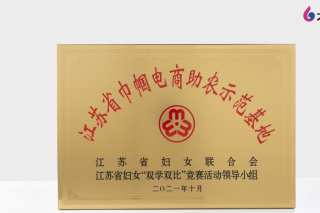 大禹網絡榮獲“江蘇省級巾幗電商助農示範基地”