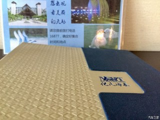 追尋東方日出，「早日」抗疫勝利