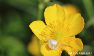 四大星座9月當快樂的事情來臨，好運，幸福的微笑，和輕松的日子