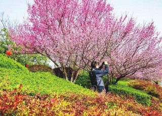 踏青看一池山水 “雲上”過文化新春 群眾就地過年盡享快樂盛宴