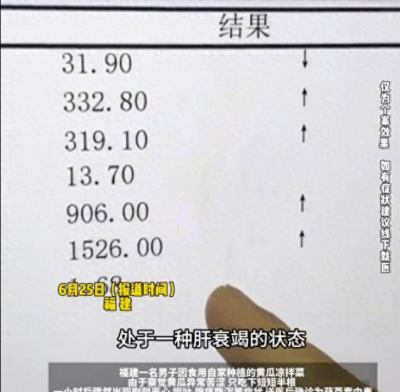 比砒霜還毒！一盤涼拌黃瓜致男子肝衰竭，醫生建議：出現這種情況直接扔掉_食用_葫蘆_倭瓜