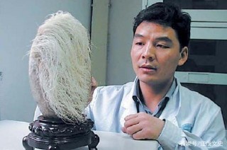 老大爺撿到一個長滿白發的石頭，專家鑒定後：這個是遠古生物