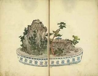 景觀 | 盆景，一座微觀的自然山水