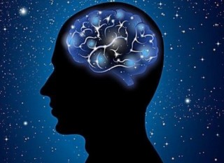 人類如果和昆蟲一樣大小，還有可能成為地球主人嗎？