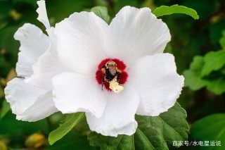 3月下旬起，良緣傍身，轉交遇到愛的4大星座：琴瑟和鳴，今生無憾