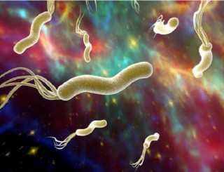 為何人類不能永生？生物學家：人類只不過是“打工仔”而已