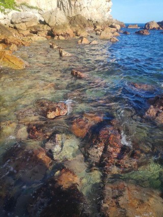 深圳海灘上現奇怪的人像石，不開發成旅遊景點太可惜了