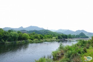 隱藏江南深處，非水似水的「竹海」，匯聚了歷史長河的點點滴滴