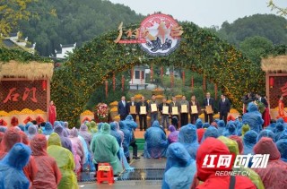 柑橘飄香正當時！2020第二十屆石門柑橘節暨文化旅遊季盛大啟幕