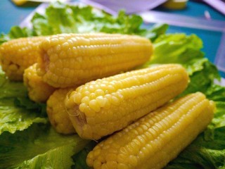 鄉情散文：東北舌尖上的美食——四烀一燜