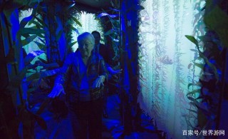 美國國家地理體驗館｜在紐約時代廣場中心探索奇妙的海底世界