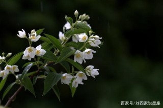 這4大星座，將在11月中旬，遇到自己的良緣知己，牽手幸福美滿！