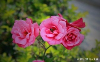 這3星座聚財能力強大，今後7個月，運勢上上吉，添財添福添大喜