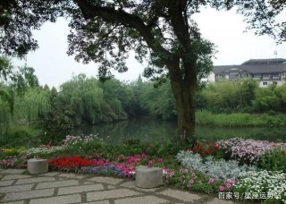 6月富貴無雙橫財難以阻止事業，如魚得水衣食安心的星座。