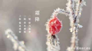 霜降已至，霜降節氣話養生！