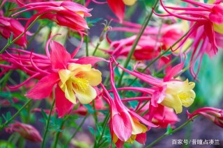 在近期，驚鴻一瞥，妙不可言，四大星座不約而同，找回舊愛