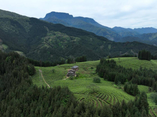 想找點清淨，就來這9個隱世古村落，避開喧囂尋一處山野放松_盧村_龍尾_古建築
