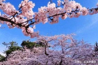 7月份，4大星座勇敢追求愛，桃花朵朵開，財運擋不住，好運連連