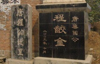 考古挖到程咬金陵墓，專家看完墓志銘發現歷史被篡改，可悲可歎