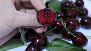 蛋糕烘焙知識百科8-黑森林蛋糕（黑森林蛋糕製作教程，附配方）