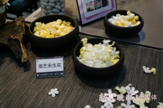 吳根越角｜走！去吳江震澤絲綢風情小鎮蠶桑文化園，看可愛蠶寶寶“造房子”