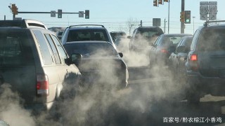 「冷知識」多吃一口雞肉，可以保護地球？