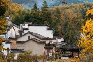 下好鄉村旅遊“產業棋”丨時評