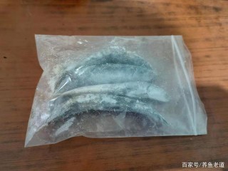 給大型觀賞魚長期投喂冰凍魚肉，會導致消化不良，或營養不良嗎？