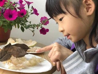 「浦東」福山正達外國語小學：最美秋風伴蝶舞-一年級蝶藝班福娃戲蝶記