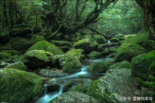 最怕相思之苦的星座，他生莫作有情癡，人間無地著相思