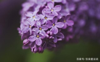 對愛情順其自然，不緩不急，哪怕單身都從容淡定的星座女