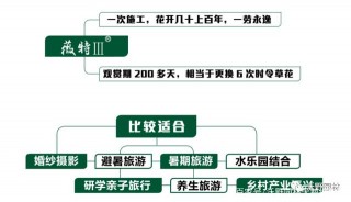 乾貨丨苗旅融合：從時代趨勢解讀到旅遊開發方法（上）