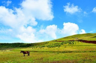 我國“旅遊高鐵”正式通車，穿26個5A景區，共創“智慧化”發展