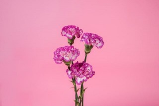 12月底，相思入骨，舊情難卻，與舊愛濃情蜜語，不分離的星座