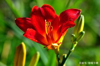 Angelababy轉投悅凱娛樂，拿下不菲見面禮，這步棋她走得好妙