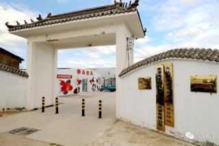 太美啦！200多種觀賞魚！帶你一探華北地區最大的觀賞魚養殖基地~