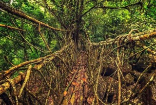 出國旅遊：世界上這十個景觀令人稱奇，各具特色！