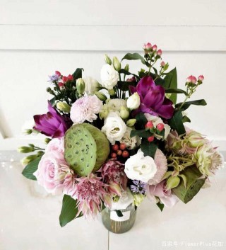 FlowerPlus花加：荷花家庭盆栽養殖技巧