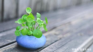 一言不發翻了臉，這些星座脾氣不好到沒有朋友，還很難安慰