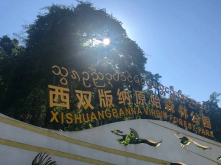 雲南旅遊攻略報團6日遊旅遊費用是多少，看完不會被坑。_阿星_行程_旅行