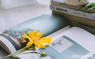 10月中旬，有些事情，不能說透，三星座接受失去，才能獲得擁有