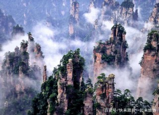 來湖南這一景區旅遊，一定不要報旅行團，很多遊客已經被“坑”