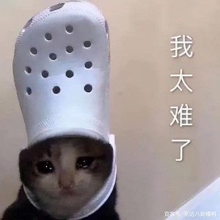 葉莉傳：阿油哥獻身給老男人後上位？傍白富美不成變娛樂圈海王？
