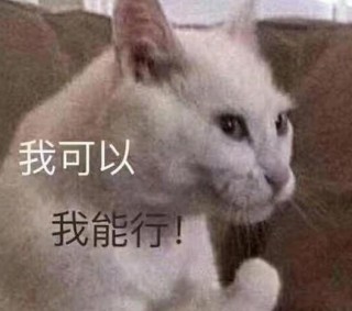 西安一高校為新生設“獨立報到獎”，上千人申請