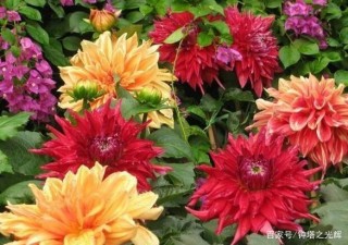 1月底，一刀兩斷，再無相欠，3星座與舊愛說再見，彼此再無瓜葛