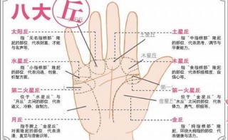 左手右手都有相同紋路的人，可以說是一個很有靈感的人