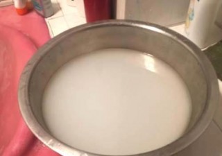 綠蘿君子蘭插個棍再加點料，葉子長得巴掌大，開花壓